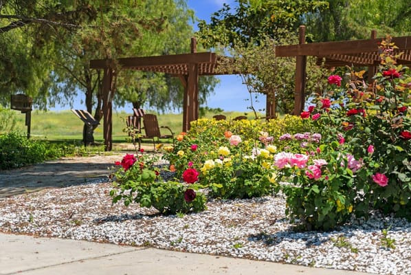 Colorful flower beds and outdoor seating area