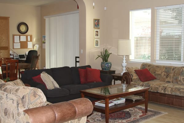 Cozy living room with sofas, coffee table, and decorative plants