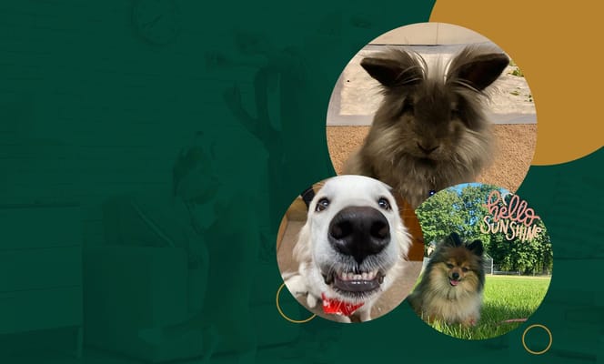 Ivy Court Senior Living