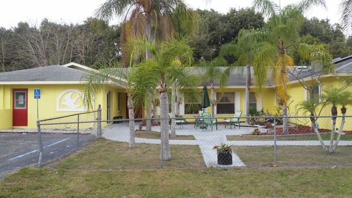 Front view of Magnolia Acres with yellow walls and palm trees