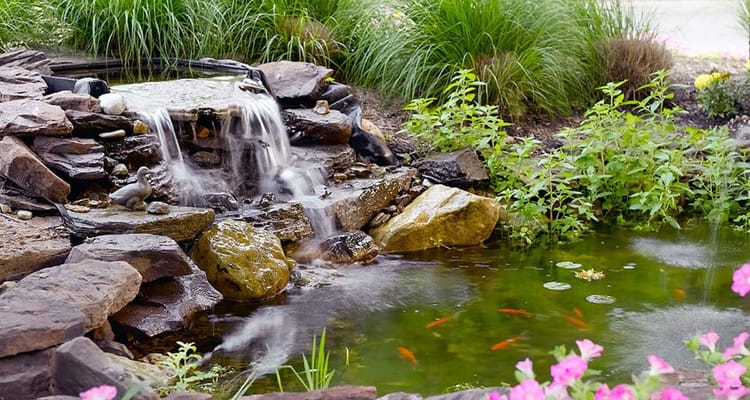 A serene waterfall and pond surrounded by flowers