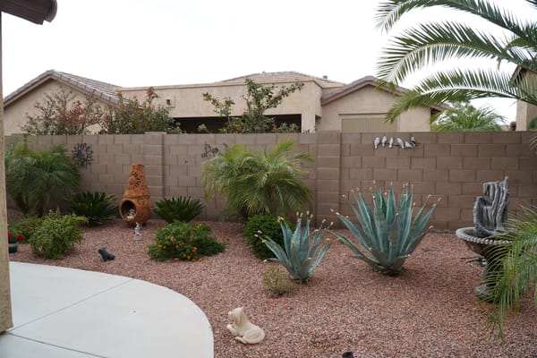 Beautifully landscaped outdoor space with desert plants