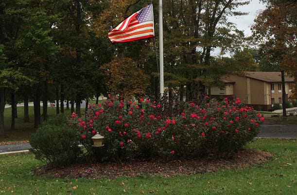 Outdoor flowerbed with an American flag