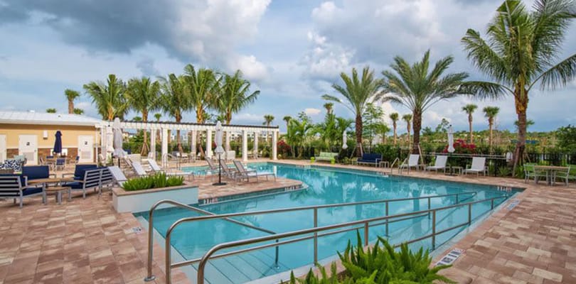 Resort-style pool area surrounded by palm trees