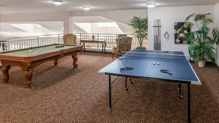 Pool and ping pong tables in a cozy game room
