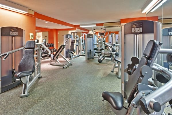 Interior view of a gym with exercise machines