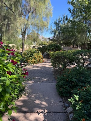 A serene walkway in the garden with blooming flowers