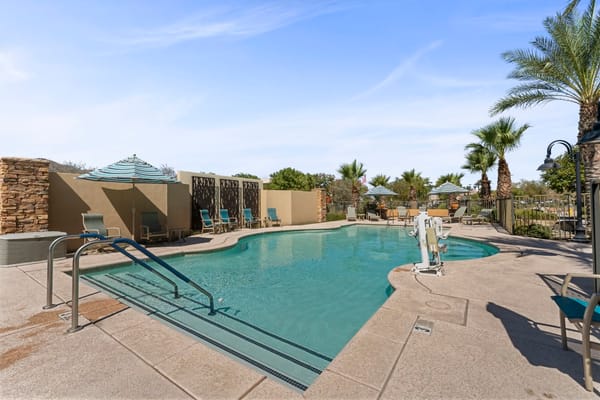 A serene swimming pool surrounded by lounge chairs and palm trees