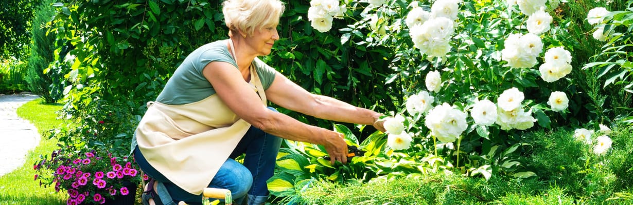 The Village of Meyerland