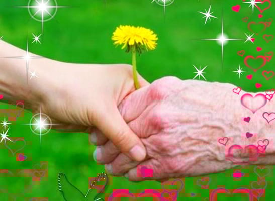 Loren’s Good Life Care