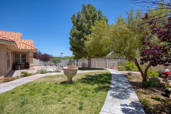 A sunny garden path with decorative plants and seating area.