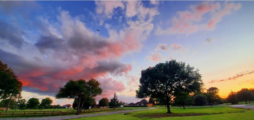 Vivid Life Residential Care