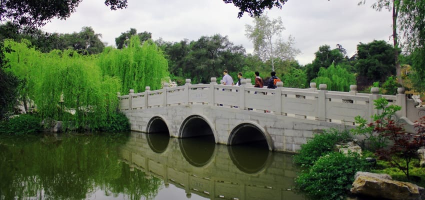 Visitors on a bridge surrounded by lush greenery