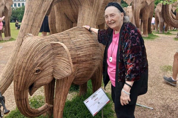 Pegasus Landing of Tanglewood