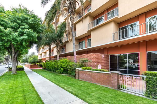 The Grove Care and Wellness