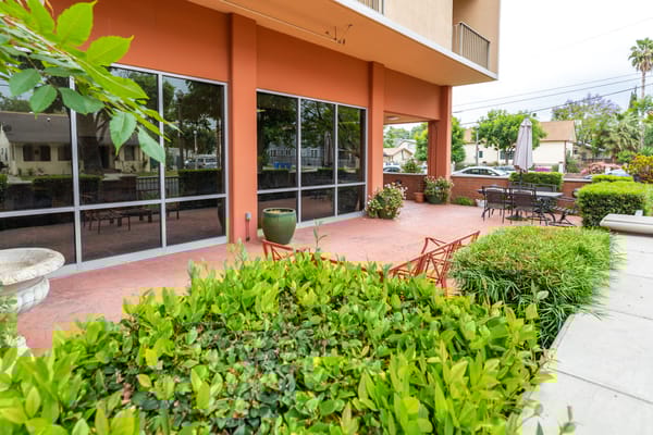 The Grove Care and Wellness