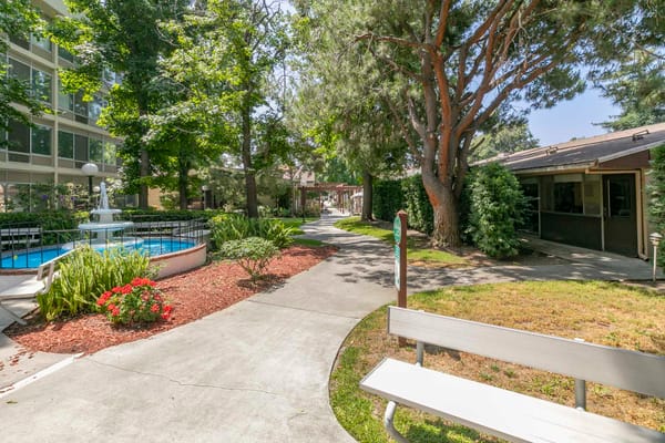 Beautiful garden pathway with trees and landscaping