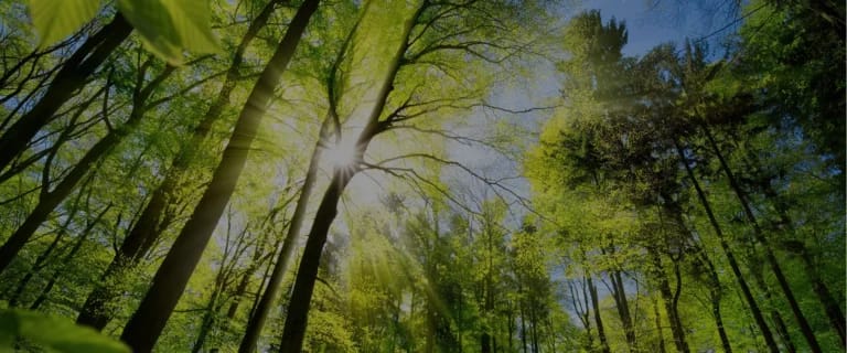 Angels Grace Hospice & Palliative Care