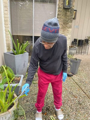 Wren’s Nest Care Homes – Houston