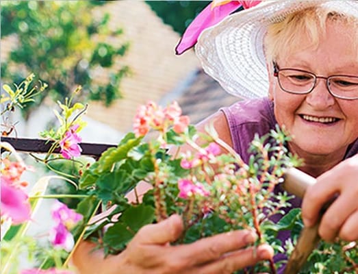 Celebrate Senior Living Niles