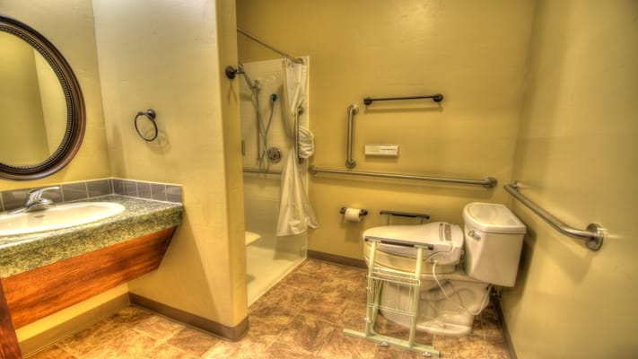 Accessible bathroom with grab bars and shower