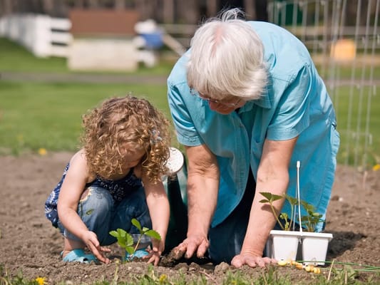 An elderly woman gardening with a young girl