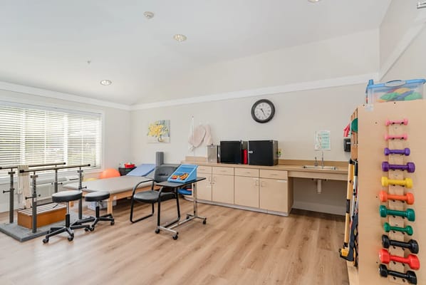 Well-equipped therapy room with exercise equipment