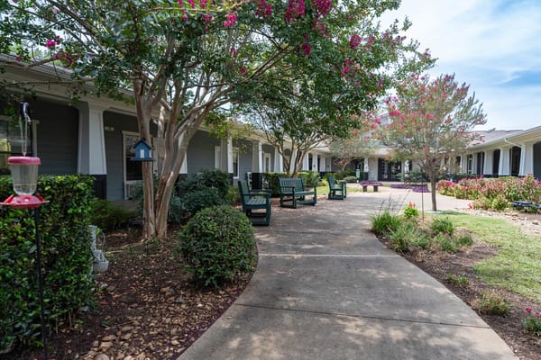 Pathway through landscaped outdoor space with seating
