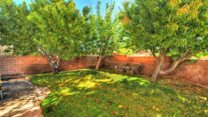 Private outdoor space with trees and seating area