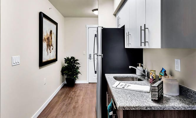 Modern kitchen with granite countertops and a plant in a corner.