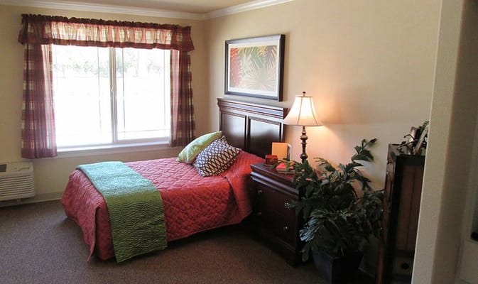 Cozy interior of a resident's room with a bed and plant