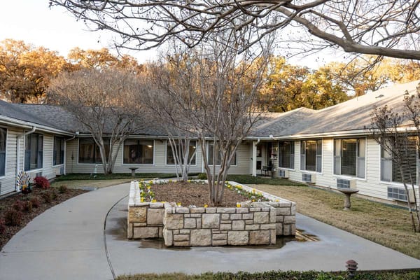 Outdoor garden area with trees and flowers