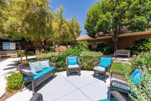 Outdoor seating area with chairs and greenery