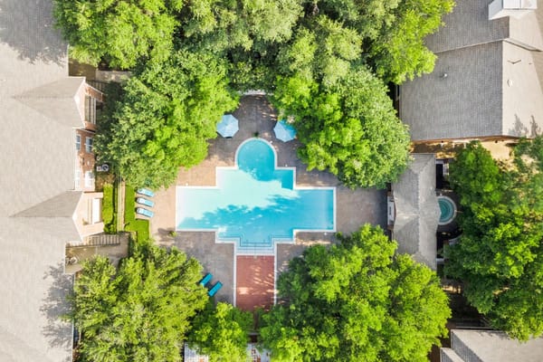 Aerial view of the swimming pool surrounded by trees at Preston Place.