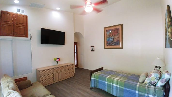 Spacious living room with a couch, bed, TV, and decorative art