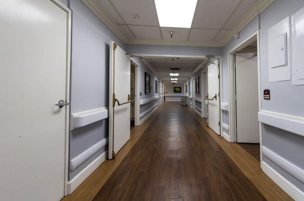 Interior hallway with wooden flooring and doors