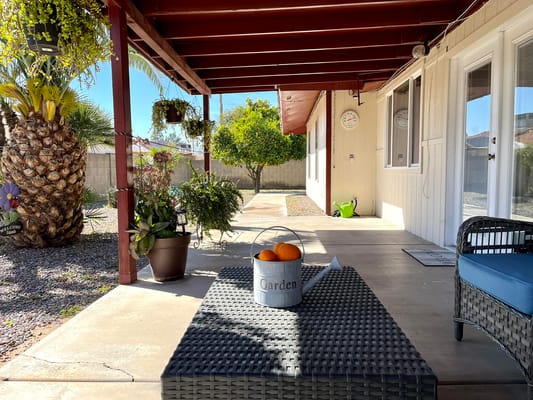 Cozy patio area with a table holding a bucket of oranges and lush greenery.