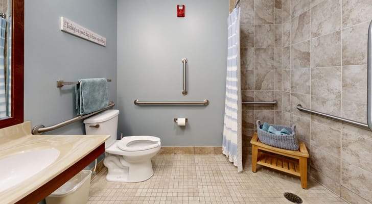 Accessible bathroom with grab bars and shower area