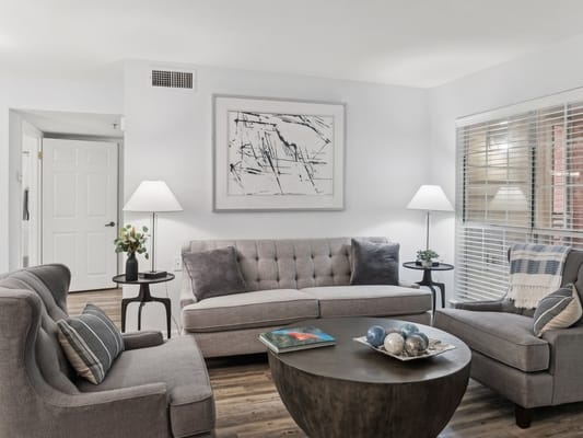 Comfortable living room with gray sofas and modern decor