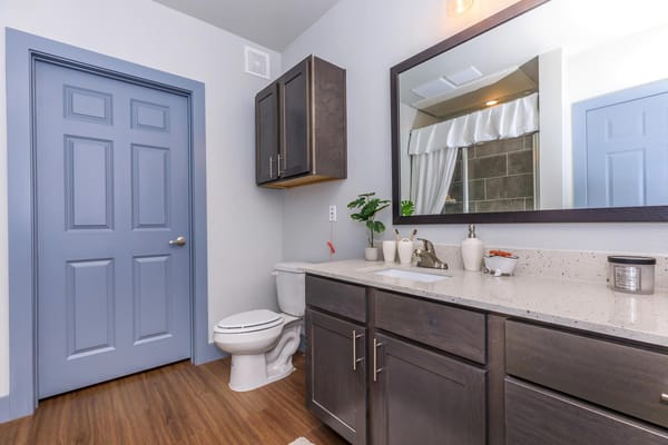 Spacious bathroom with dark cabinets and blue door