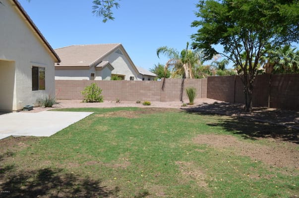 A well-maintained backyard with grass, plants, and a fence.