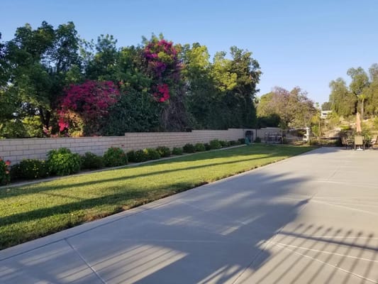 Lush garden area with colorful flowers and green lawn