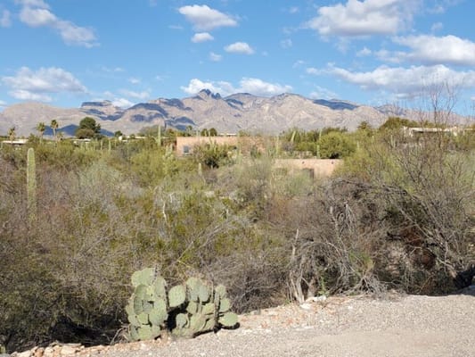 Desert Home by Platinum Care Homes