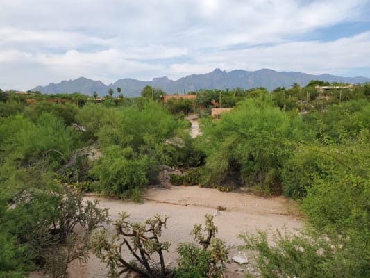 Desert Home by Platinum Care Homes