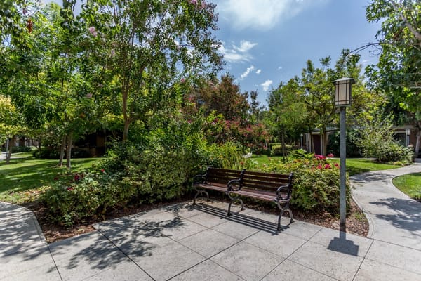 A wooden bench surrounded by greenery in a senior living facility garden.