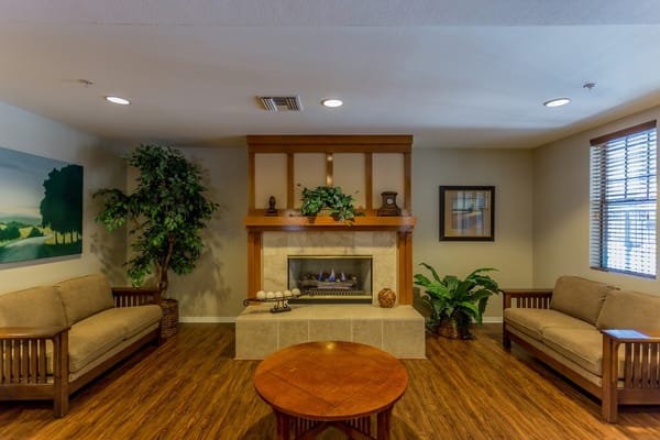Comfortable seating area with a fireplace and plants