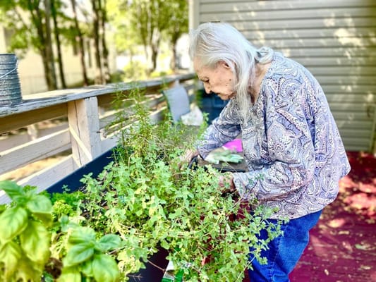 Senior resident tending to a garden outdoors