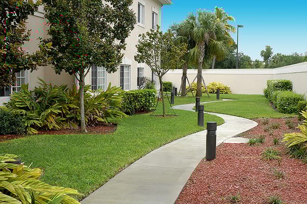 A landscaped pathway lined with plants in a senior living facility