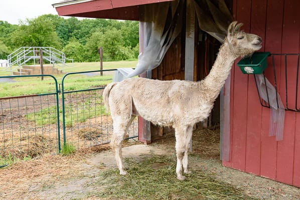 Life Care Center of Nashoba Valley
