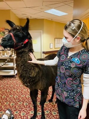 Life Care Center of Nashoba Valley